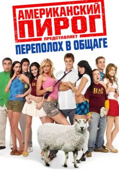 постер Американский пирог 6: Переполох в общаге